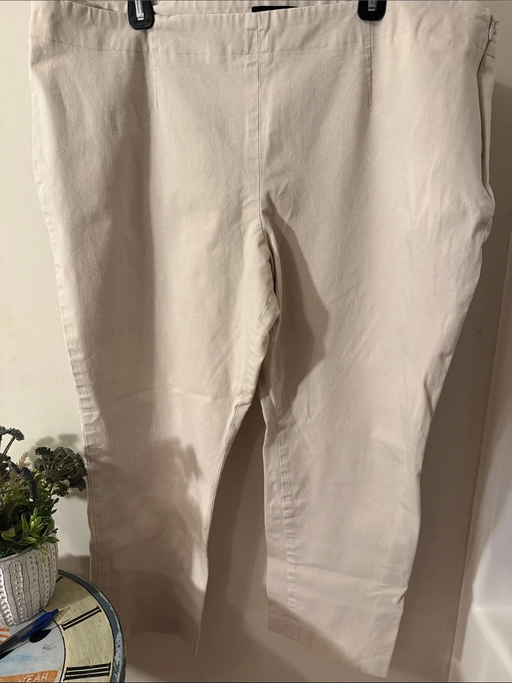 Talbots Woman Light Beige Chinos with side zip Sz 22W excellent condition